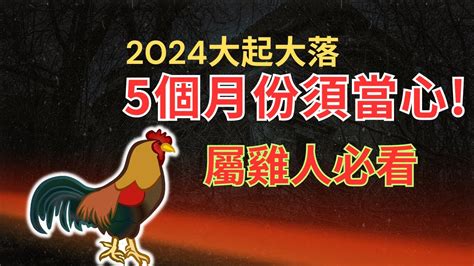 1993屬雞2024運勢|2024属鸡全年运势 2024属鸡全年运势详解